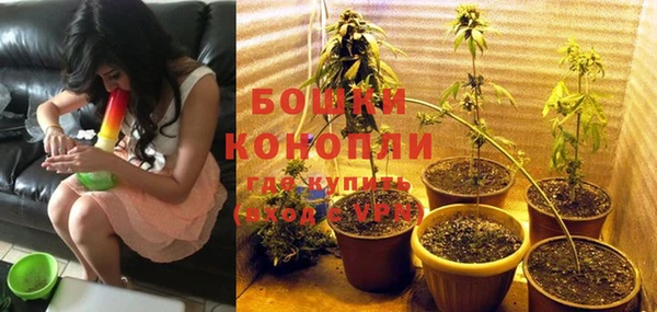 крисы Инсар