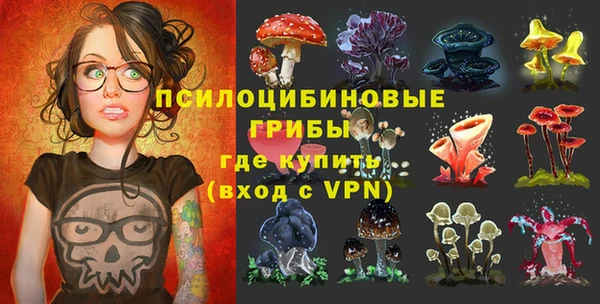 крисы Инсар