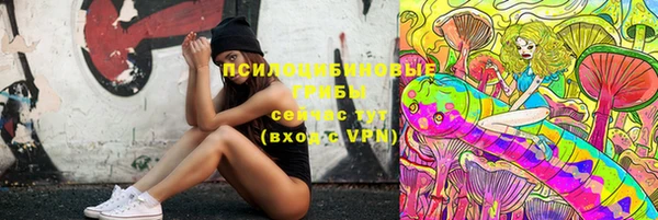 mdpv Иннополис