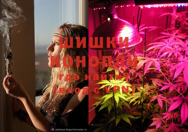 крисы Инсар
