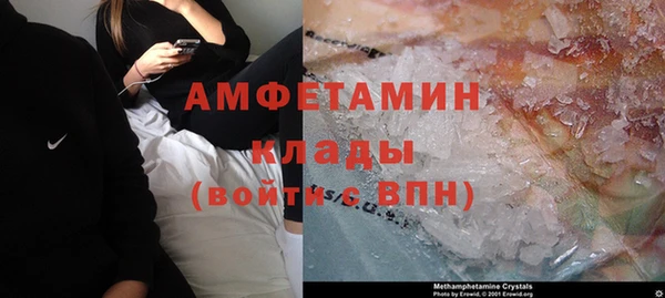 крисы Инсар