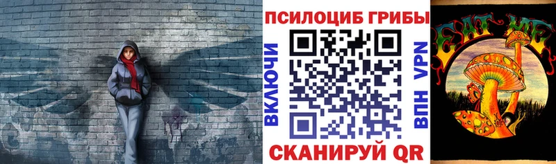 Купить закладки  Аркадак  Псилоцибиновые грибы Psilocybine cubensis 
